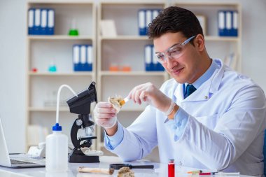 Paleontolojist soyu tükenmiş hayvan kemiklerine bakıyor