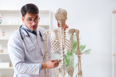 İskeleti beyaz olan Yong erkek doktoru.