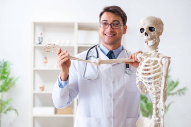 İskeleti beyaz olan Yong erkek doktoru.