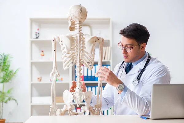 Yong médico masculino com esqueleto isolado em branco — Fotografia de Stock