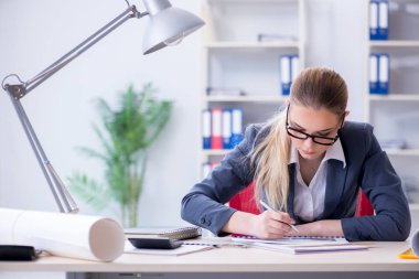 Projede çalışan kadın mimar  