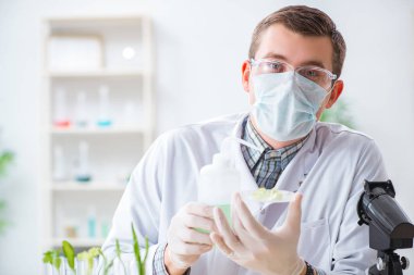 Bitkiler üzerinde çalışan erkek biyokimyacı.