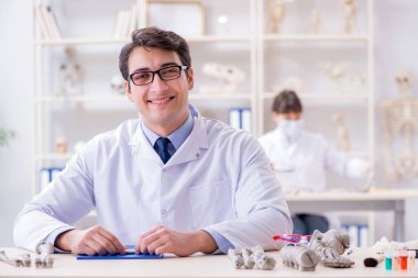 Profesör laboratuvarda insan iskeletini inceliyor.