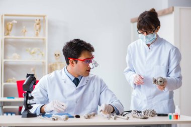 Profesör laboratuvarda insan iskeletini inceliyor.