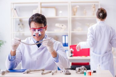 Profesör laboratuvarda insan iskeletini inceliyor.