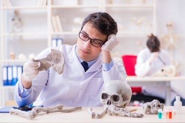 Profesör laboratuvarda insan iskeletini inceliyor.