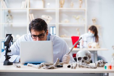 Profesör laboratuvarda insan iskeletini inceliyor.