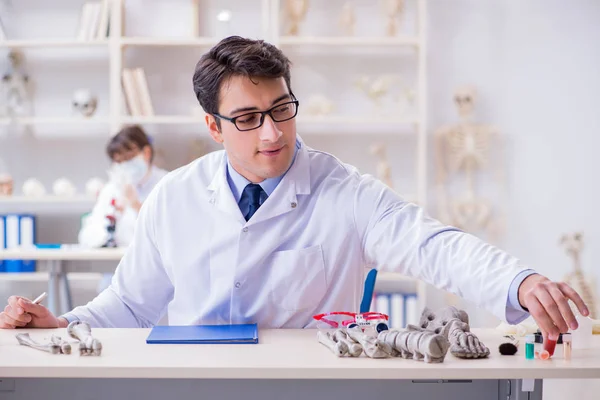 Profesor estudiando esqueleto humano en laboratorio — Foto de Stock