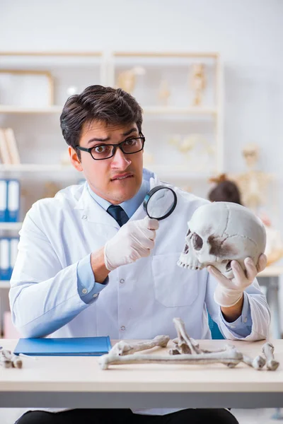 Profesor estudiando esqueleto humano en laboratorio — Foto de Stock