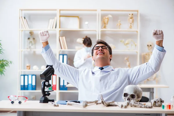 Καθηγητής μελέτης ανθρώπινου σκελετού στο εργαστήριο — Φωτογραφία Αρχείου