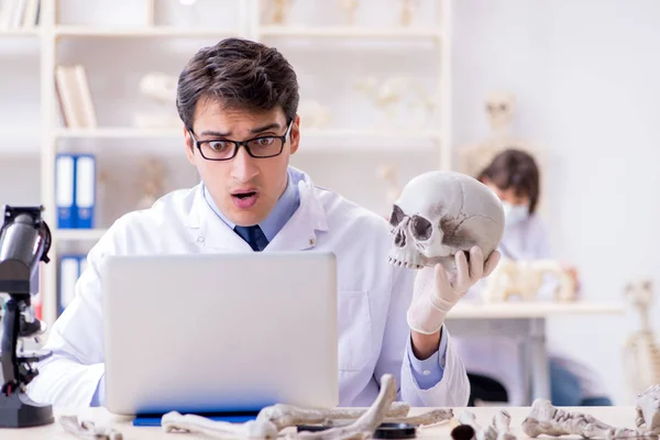 Profesor estudiando esqueleto humano en laboratorio —  Fotos de Stock