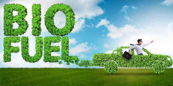 Concept of bio fuel and ecology preservation — Stock Image Concept of bio fuel and ecology preservation Royalty Free Stock Images
