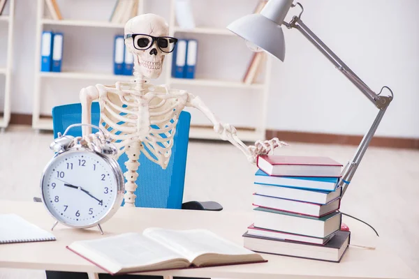 Student skeleton preparing for exams — Stock Photo, Image