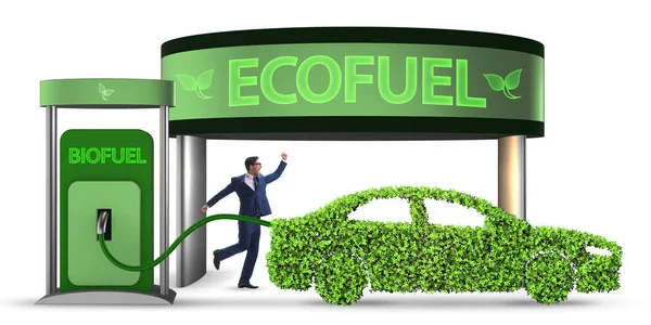 Konsep bahan bakar bio dan pelestarian ekologi — Stok Foto