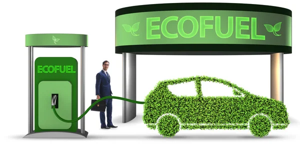 Concept of bio fuel and ecology preservation — Stock Image Concept of bio fuel and ecology preservation Royalty Free Stock Images
