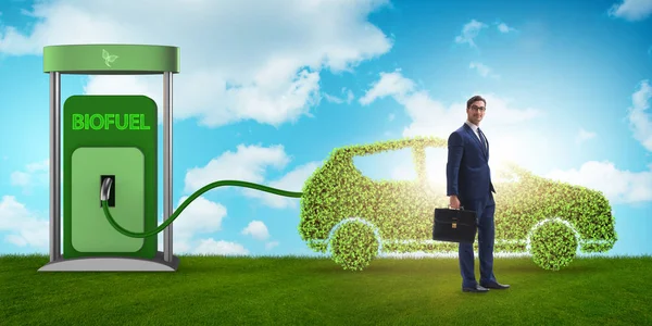 Concept of bio fuel and ecology preservation — Stock Image Concept Bio Fuel Ecology Preservation Stock Image