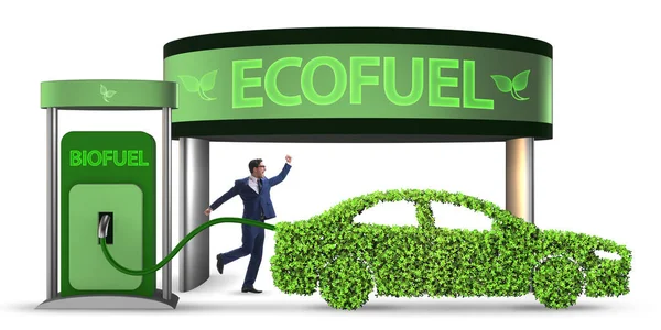 Concept of bio fuel and ecology preservation — Stock Image Concept of bio fuel and ecology preservation Stock Picture