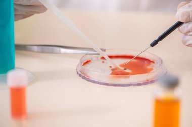 Laboratuvarda yeni bir deney üzerinde çalışan kimyager.