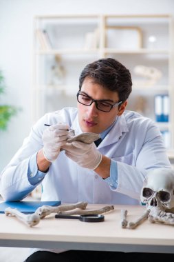 Profesör laboratuvarda insan iskeletini inceliyor.