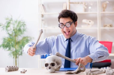 Komik çılgın profesör insan iskeletini inceliyor.