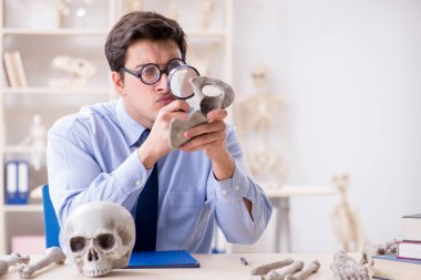 Komik çılgın profesör insan iskeletini inceliyor.