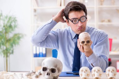 Komik çılgın profesör insan iskeletini inceliyor.