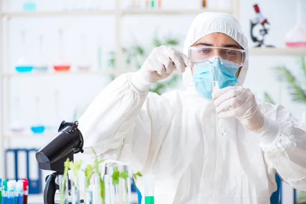 Bioquímico masculino trabalhando no laboratório em plantas — Fotografia de Stock