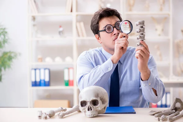 Vicces őrült professzor tanulmányozza az emberi csontvázat — Stock Fotó