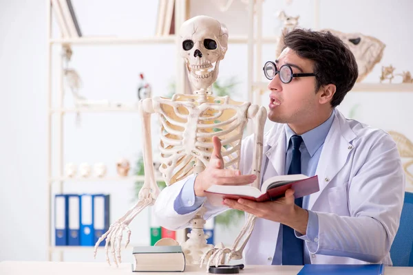 Çılgın profesör insan iskeleti üzerinde çalışıyor.