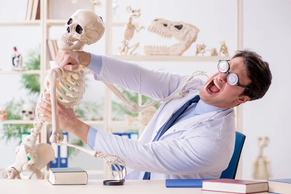 Professor louco estudando esqueleto humano — Fotografia de Stock
