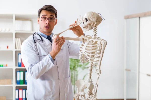 Yong male doctor with skeleton isolated on white — Stock Photo, Image