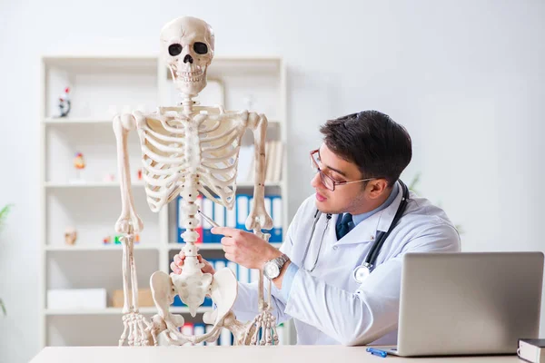 Yong männlicher Arzt mit Skelett isoliert auf weiß — Stockfoto