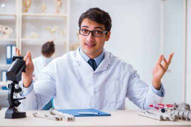 Profesör laboratuvarda insan iskeletini inceliyor.