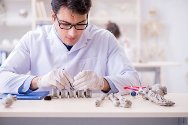 Profesör laboratuvarda insan iskeletini inceliyor.