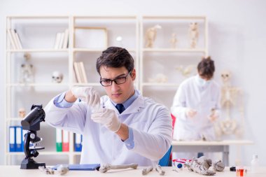 Profesör laboratuvarda insan iskeletini inceliyor.