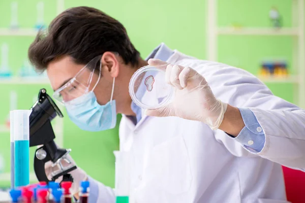 Homem químico que trabalha no laboratório — Fotografia de Stock