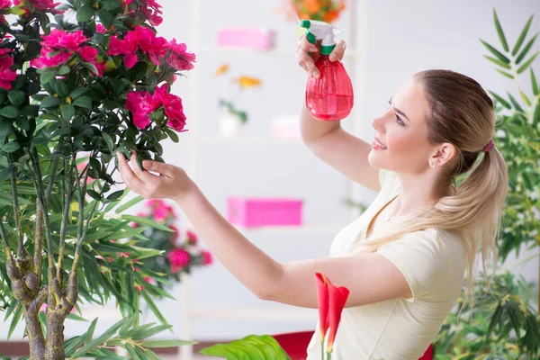 Bahçesinde çiçekleri sulayan genç bir kadın.