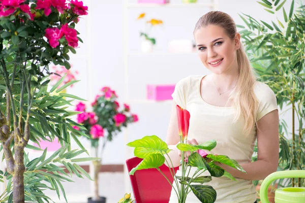 Jonge vrouw water geven planten in haar tuin — Stockfoto