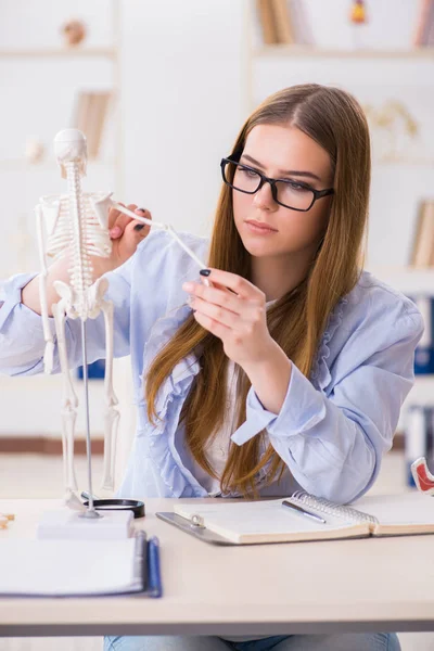 Öğrenci sınıfında oturuyor ve iskelet çalışıyor.