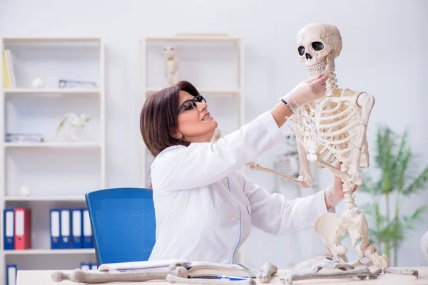 Medico che lavora in laboratorio sullo scheletro — Foto Stock