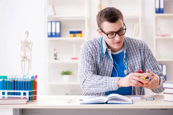 Medische student studeert hart in de klas tijdens college — Stockfoto