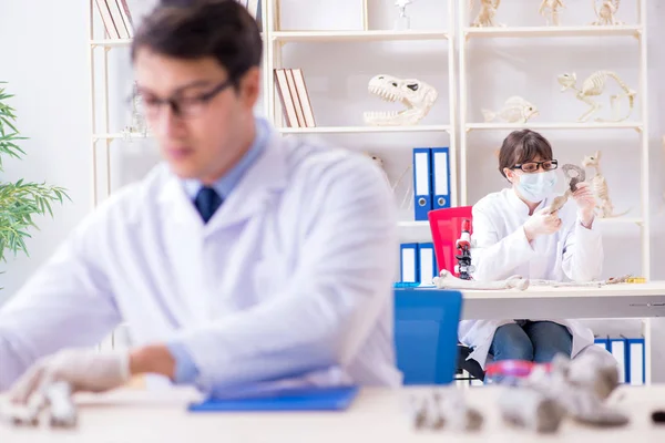 Profesor estudiando esqueleto humano en laboratorio — Foto de Stock