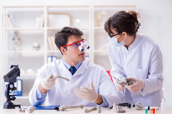 Professor estudando esqueleto humano em laboratório — Fotografia de Stock