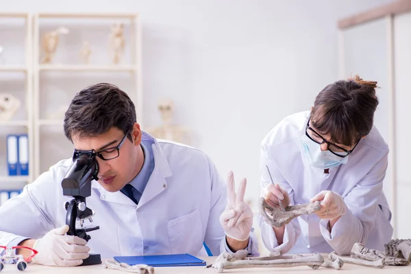 Profesor studující lidskou kostru v laboratoři — Stock fotografie