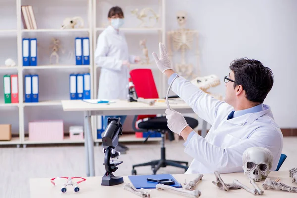 Profesör laboratuvarda insan iskeletini inceliyor.