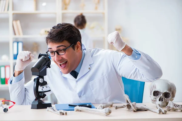 Professor untersucht menschliches Skelett im Labor — Stockfoto