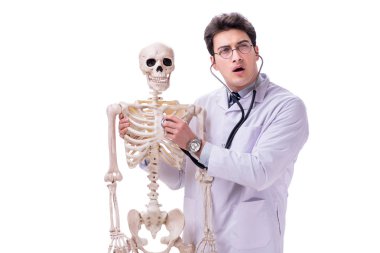 Beyaz izole iskelet ile genç doktor