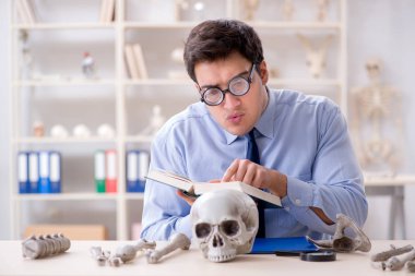 Komik çılgın profesör insan iskeletini inceliyor.