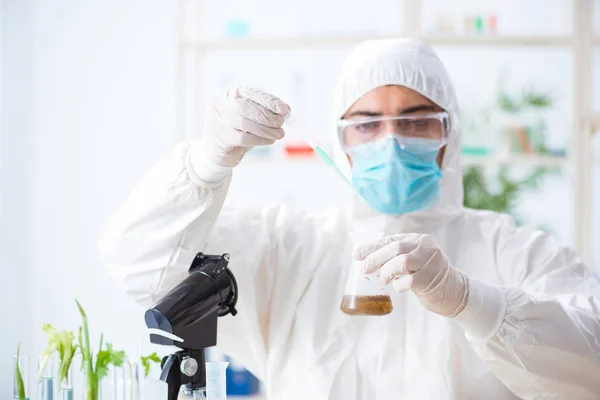 Bioquímico Masculino Trabajando Laboratorio Plantas —  Fotos de Stock