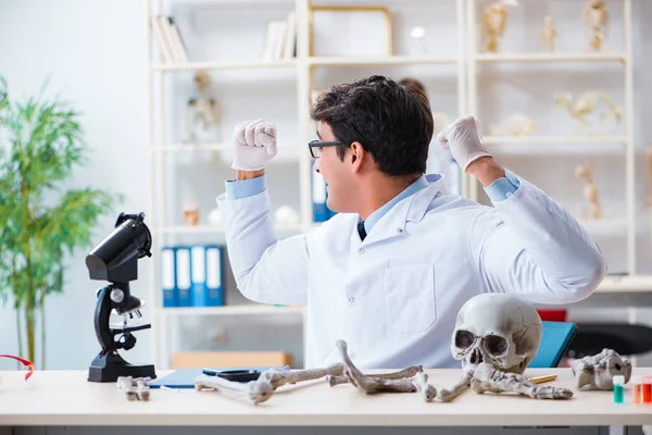 Profesör laboratuvarda insan iskeletini inceliyor.